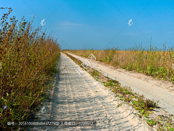農(nóng)村公路