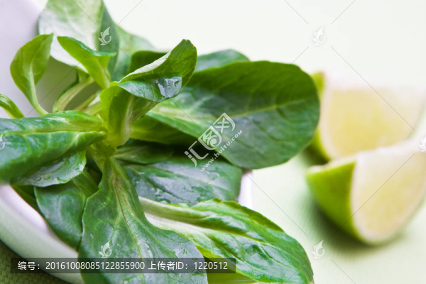 石灰場沙拉