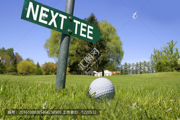 高爾夫下一個(gè)發(fā)球區(qū)