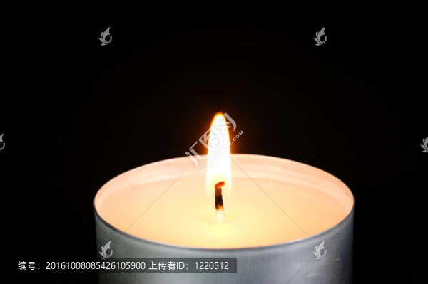 白茶蠟燭