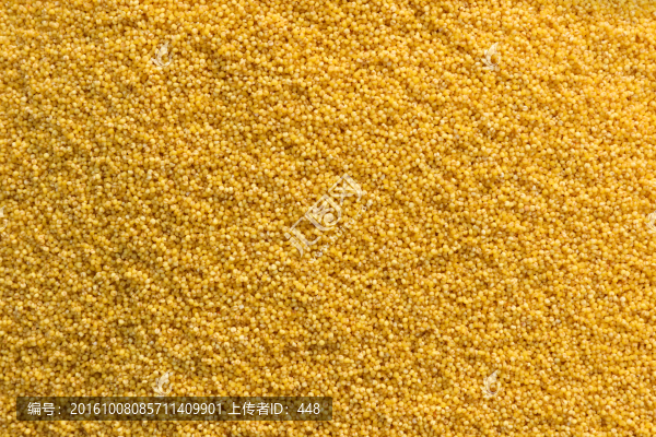 小米,Millet