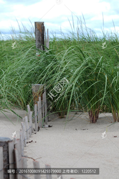 sandfence4