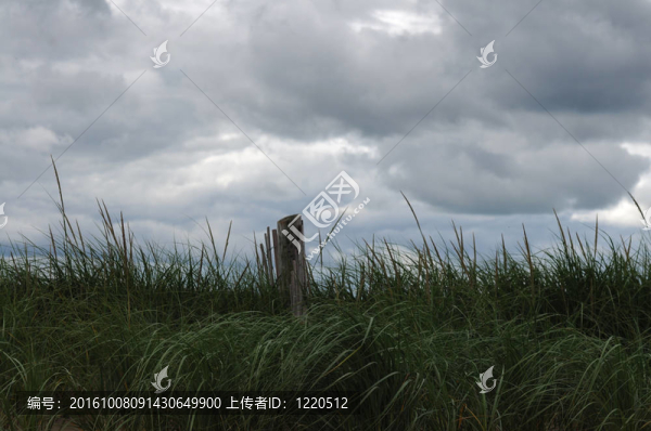 sandfence3