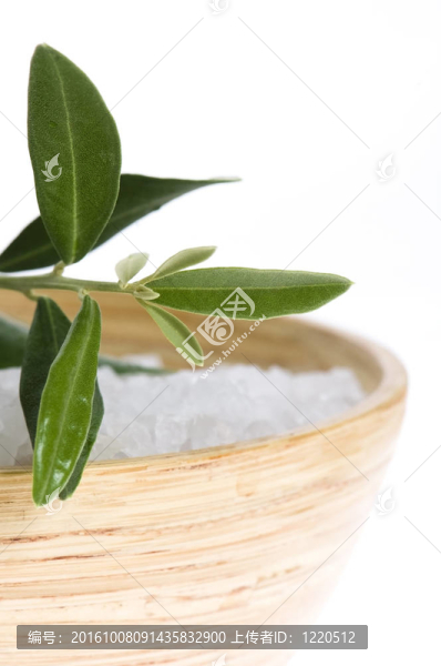 新鮮橄欖枝和沐浴鹽。SPA