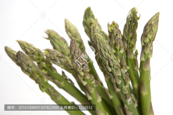 蘆筍白底