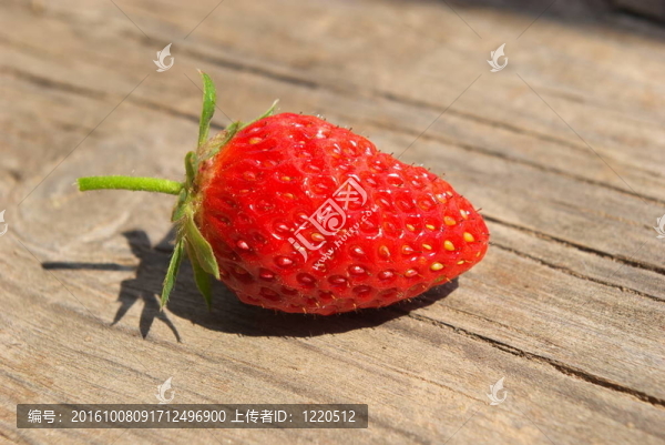 花園里的草莓