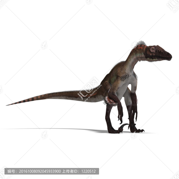 恐龍猶他盜龍