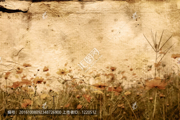 傳統(tǒng)的藝術(shù)之花