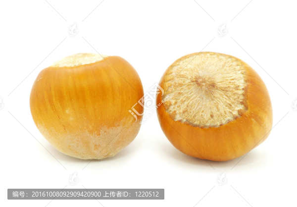 榛子
