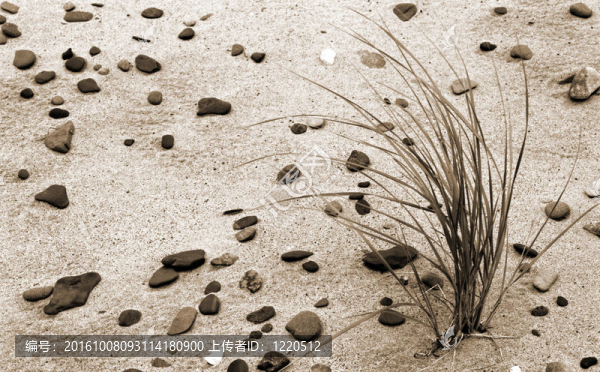pebblygrass