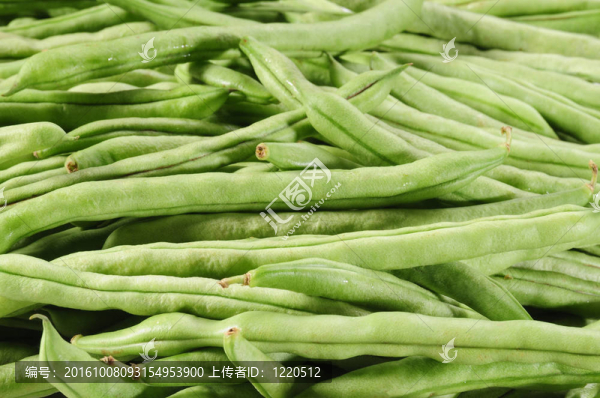 青豆