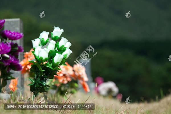 公墓