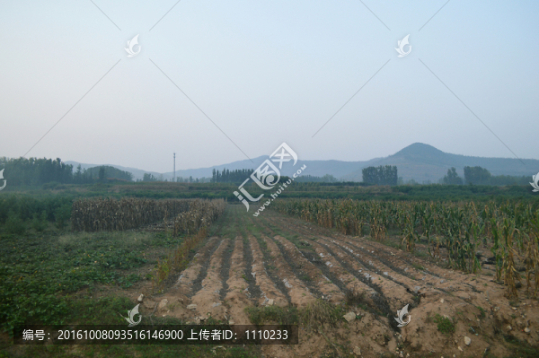農(nóng)田