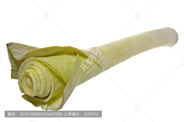 stilllife-27-0013
