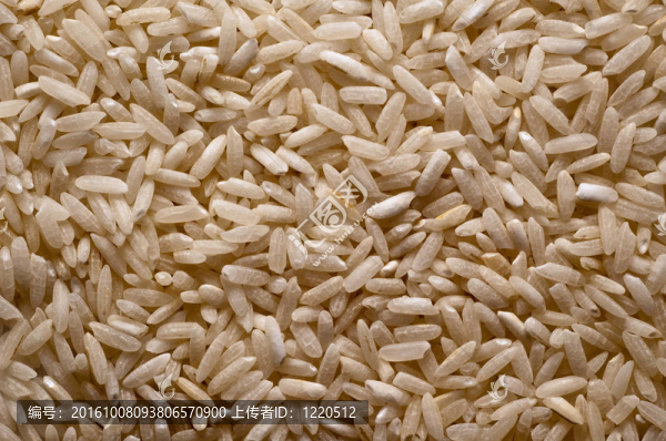 Rice顆粒
