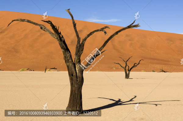 死亡谷；Soussusvlei；納米比亞；非洲