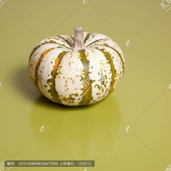 南瓜提拉米蘇