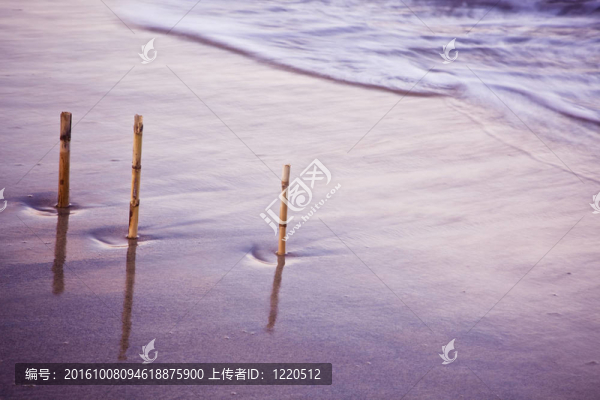 樹枝在水中