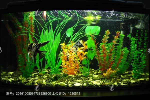 水族館