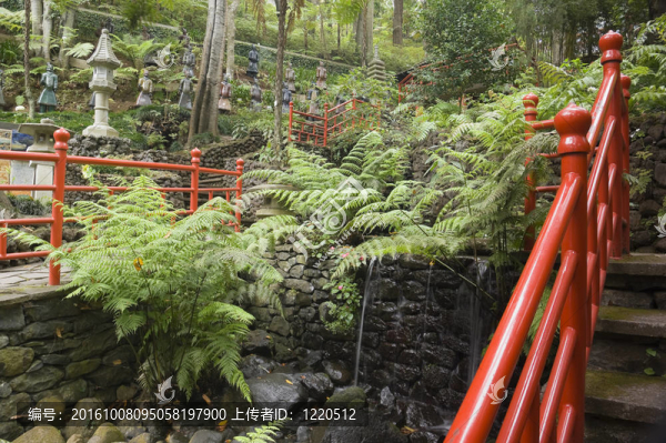 用植物園