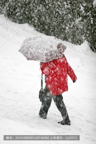 降雪