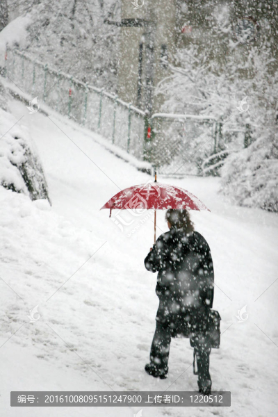 降雪