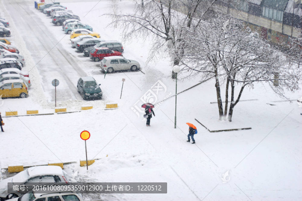 降雪