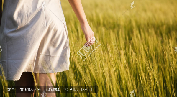 現場的年輕女人