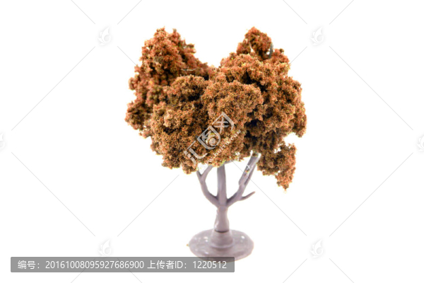 秋天的樹(shù)