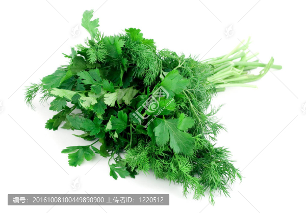蒔蘿，香菜的香料