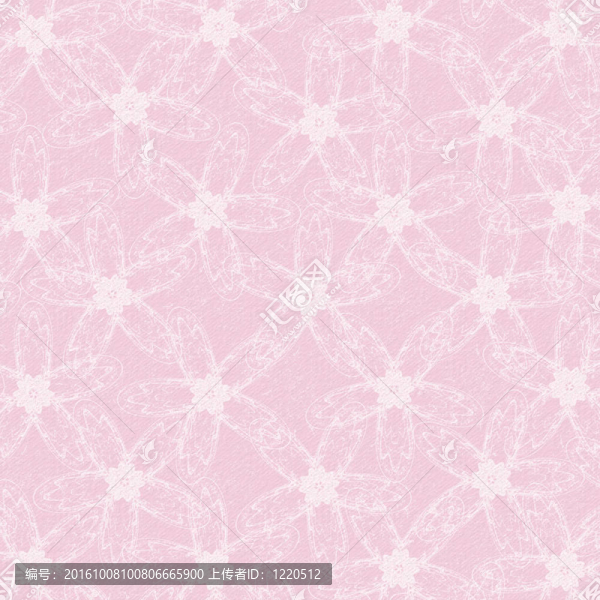 白色的花朵摘要