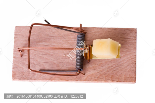 捕鼠器與奶酪