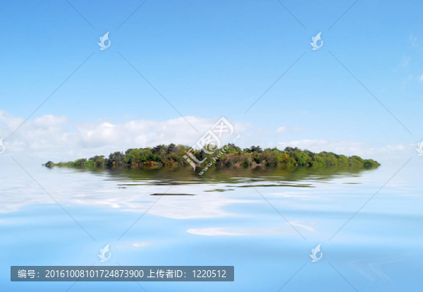 荒島上的插圖