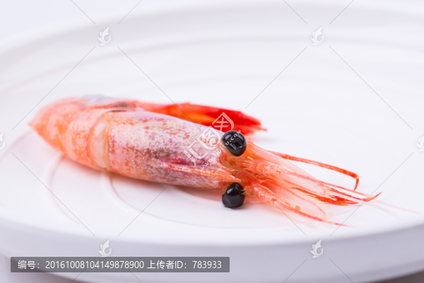 北極甜蝦