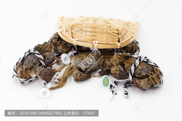 鮮活螃蟹