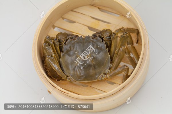 蟹,螃蟹