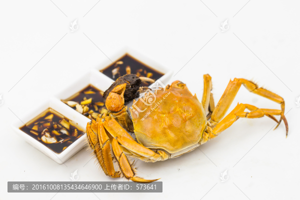 大閘蟹