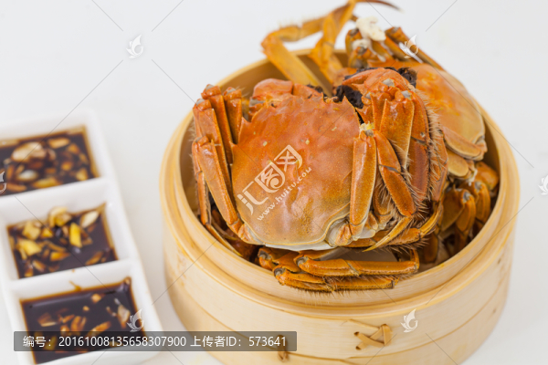 大閘蟹素材