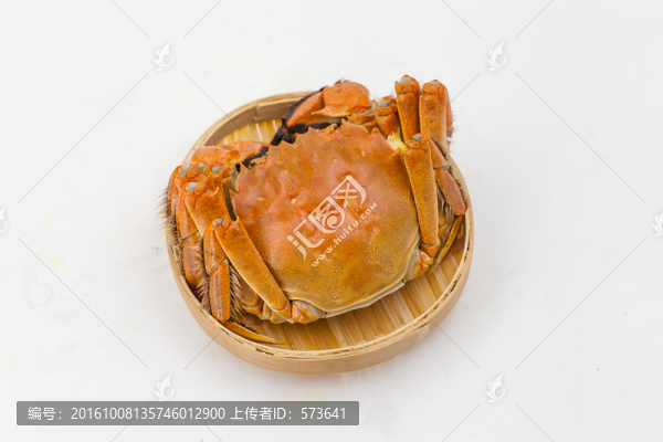 螃蟹素材