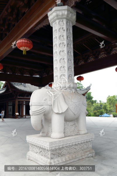 大象