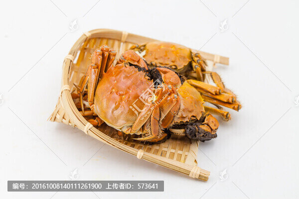 螃蟹