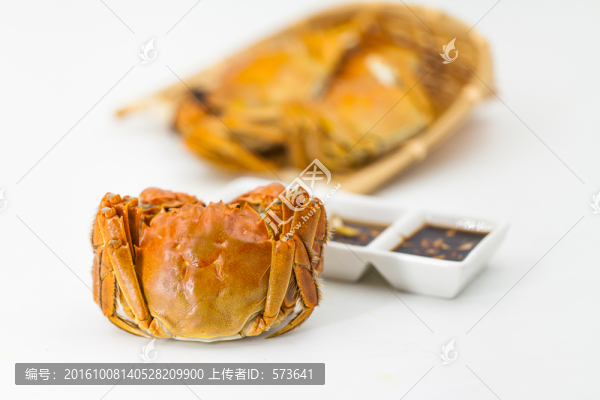 大閘蟹