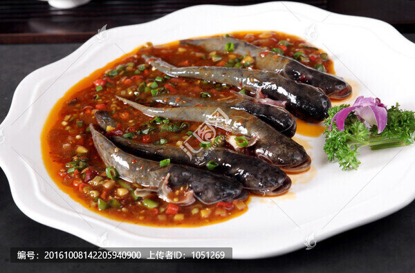 家常仔鰱