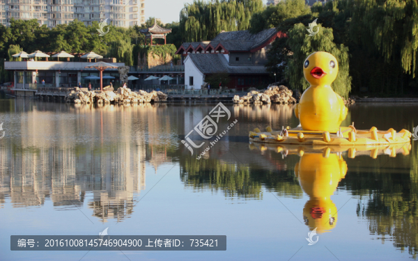 黃鴨