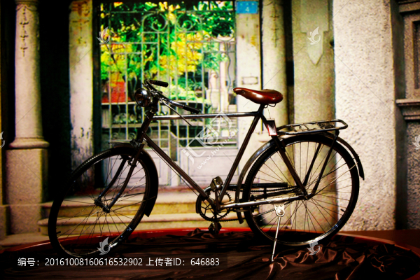 單車展,自行車,鳳凰牌自行車
