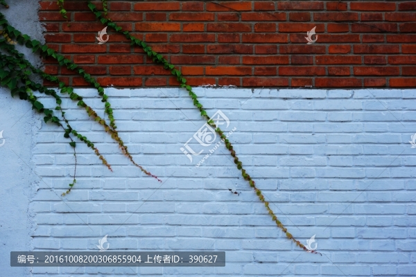 植物墻,磚墻
