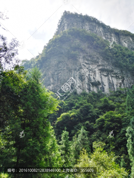 天生三橋