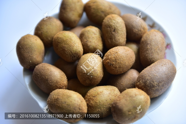 野生獼猴桃