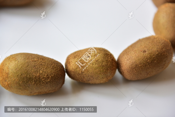 野生陽桃獼猴桃