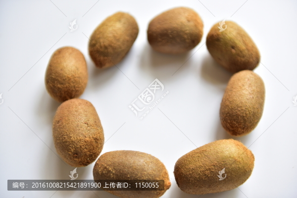 野生陽(yáng)桃獼猴桃